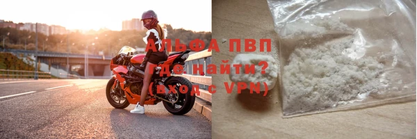 гашик Новодвинск