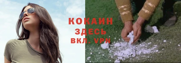 гашик Новодвинск