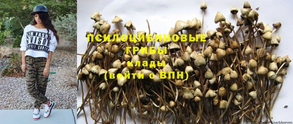 мет Новозыбков