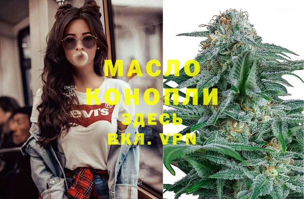 гашик Новодвинск