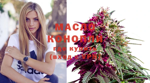мет Новозыбков