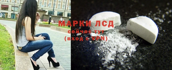 гашик Новодвинск