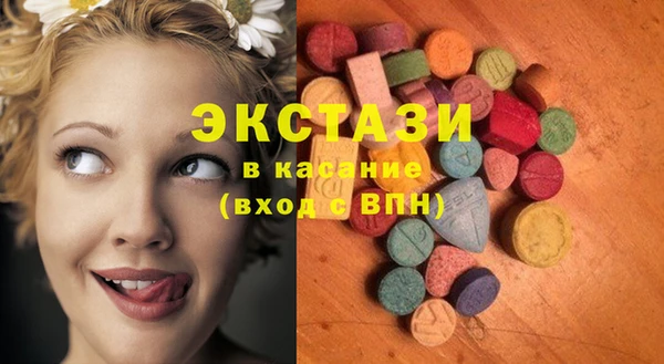гашик Новодвинск