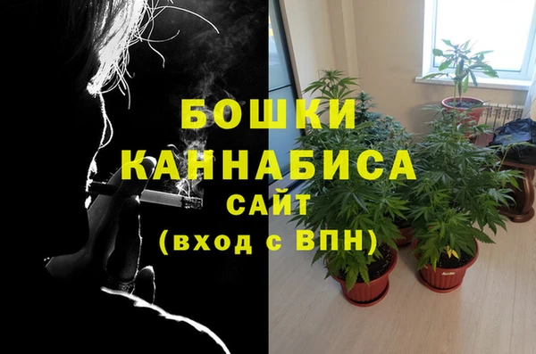 гашик Новодвинск
