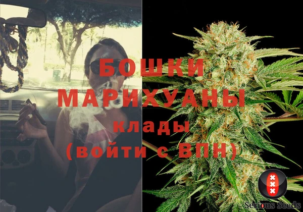 мет Новозыбков