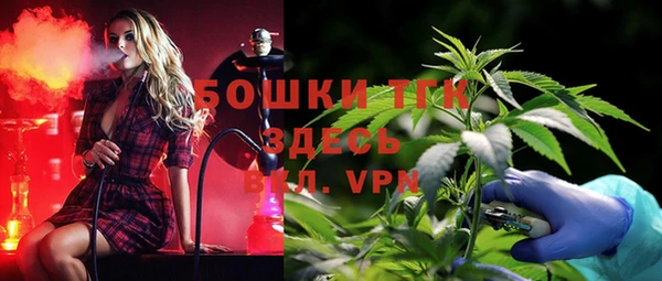 мет Новозыбков