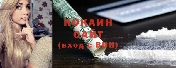 мет Новозыбков