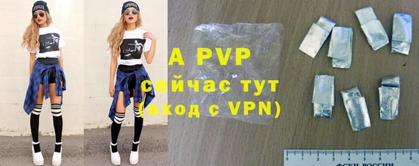 гашик Новодвинск