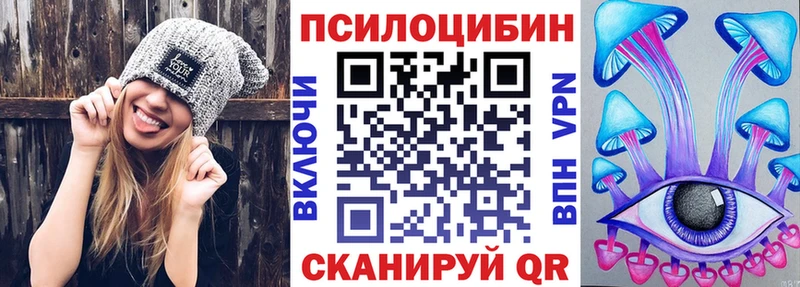 shop какой сайт  Прохладный  Галлюциногенные грибы мицелий  hydra зеркало 
