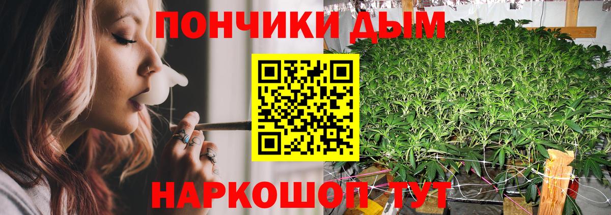 Канабис конопля  Шишки марихуана LSD WEED  Бошки марихуана план  Прохладный  Вход с VPN 